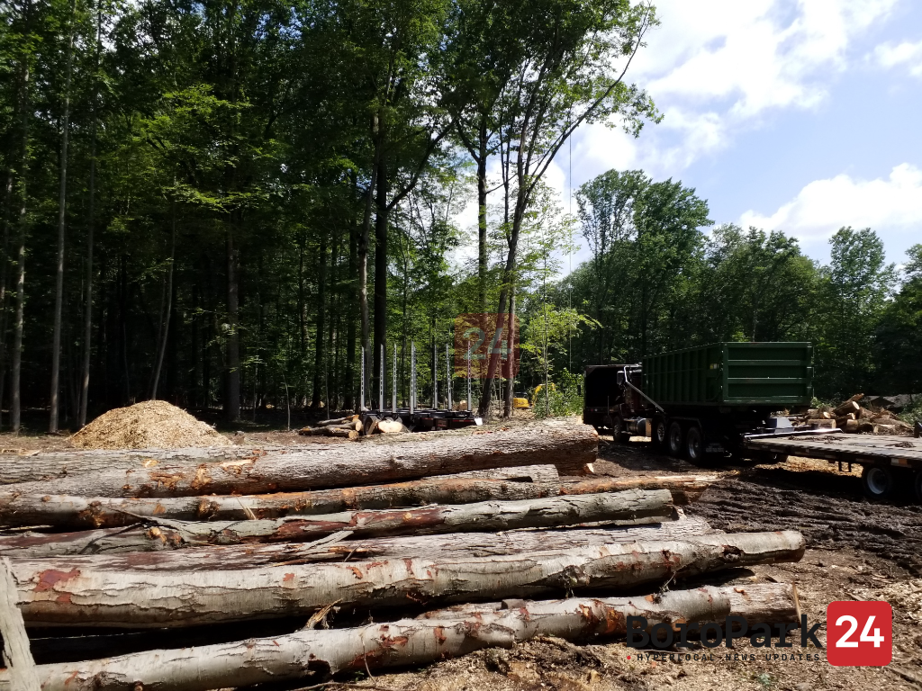 The clearing and preparation work at the new “Har Shalom” cemetery in Monsey is ongoing in full swing